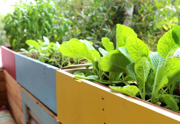 raklap élénk színekkel