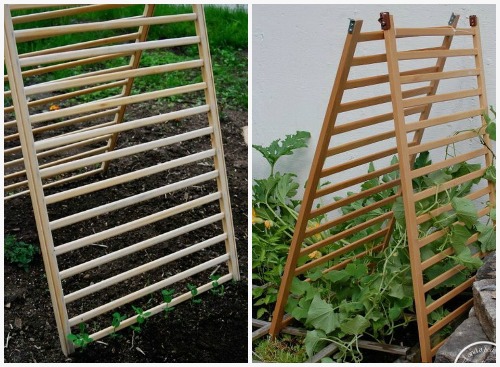 Növényfuttató, a kerti kúszó növényeknek