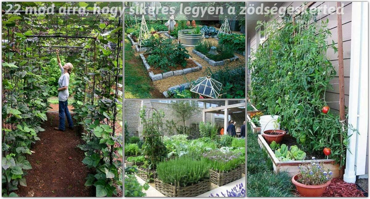 22 mód arra, hogy sikeres legyen a zöldségeskerted