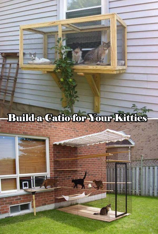 Házhoz csatolt óriás ketrecek cicáknak, hogy ők is kijöhessenek egy kicsit a szabadba