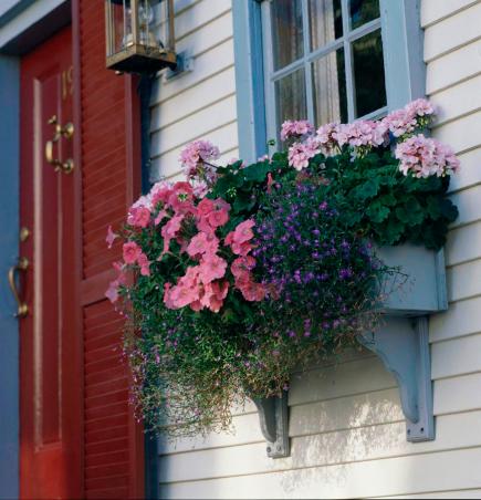 6. Pompás színvariáció