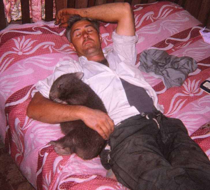 fantasztikus szülők