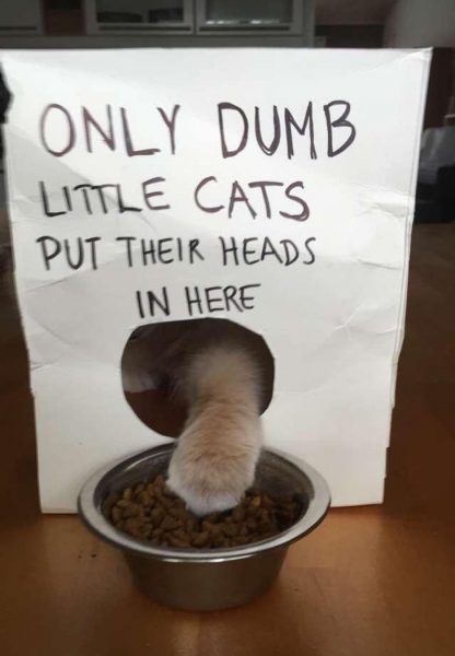 Humor