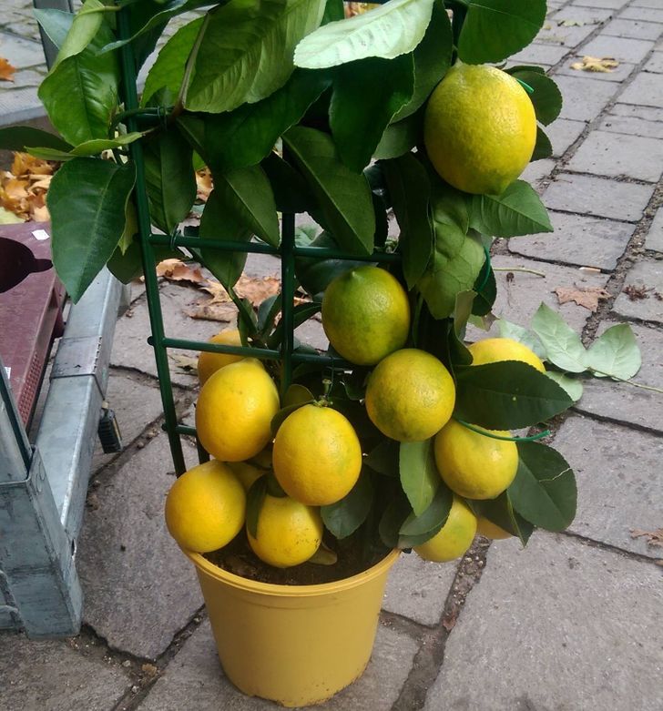 a természet ledöbbentette az embereket